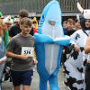 Sponsorenlauf 2024 (01)